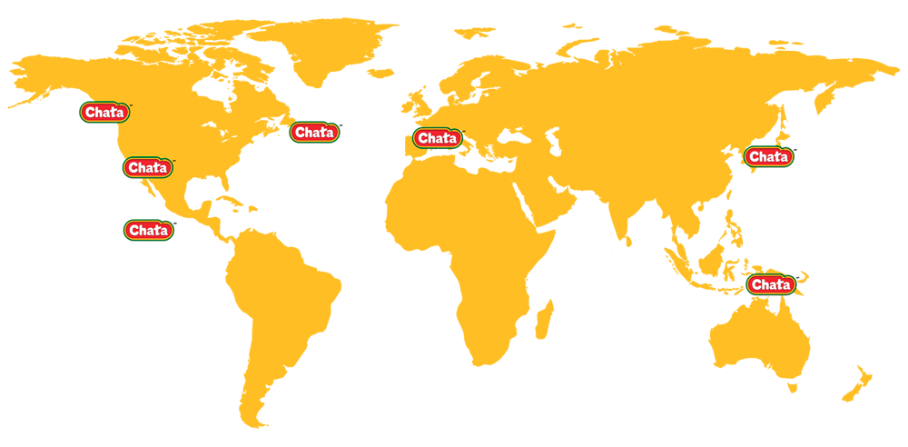 Chata presente en todos los hogares de México y Latinoamérica